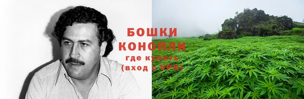 крисы Беломорск