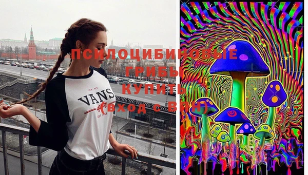 дживик Белоозёрский