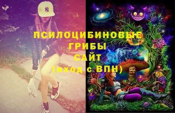 крисы Беломорск